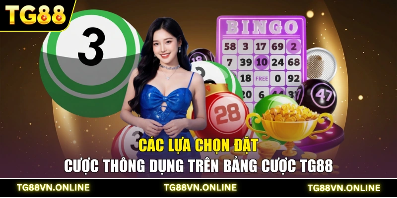 Các lựa chọn đặt cược thông dụng trên bảng cược TG88