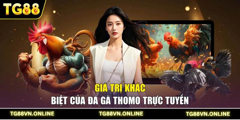 Giá trị khác biệt của đá gà Thomo trực tuyến