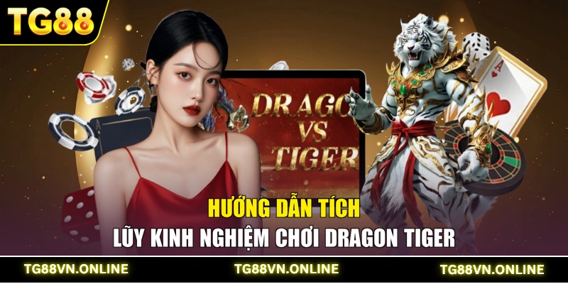 Hướng dẫn tích lũy kinh nghiệm chơi Dragon Tiger