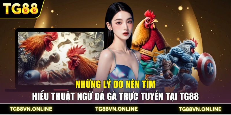 Những lý do nên tìm hiểu thuật ngữ đá gà trực tuyến tại TG88